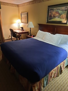 Business Room, 1 King Bed, Non Smoking