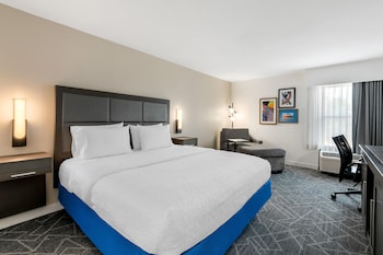 Room, 1 King Bed