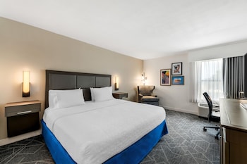 Room, 1 King Bed, Accessible (Mobility and Hearing)