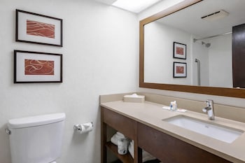 Deluxe Suite, Non Smoking