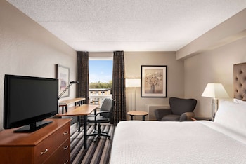 Room, 1 King Bed, Accessible, Non Smoking (Mobility, No pet friendly)