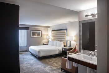 Premier Room, 1 King Bed, Roll-in Shower