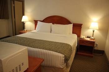 Studio, Multiple Beds, Non Smoking