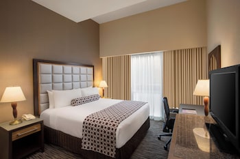 Standard Room, 1 King Bed, Roll-in Shower (Mobility, Roll-In Shower)