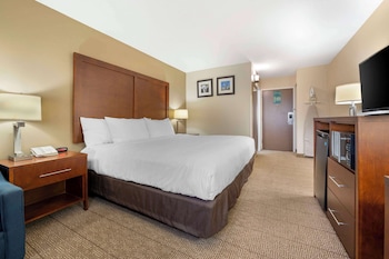 Standard Room, 1 King Bed, Non Smoking