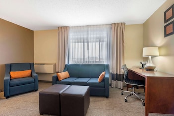 Suite, 1 King Bed with Sofa bed, Non Smoking