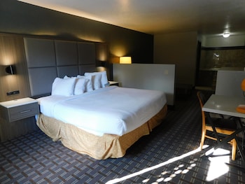 Deluxe Studio Suite, 1 King Bed, Non Smoking