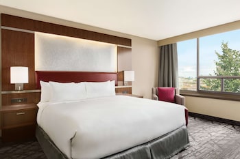 Studio Suite, 1 King Bed