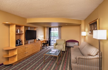 Studio Suite, 1 King Bed