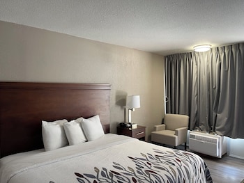 Deluxe Room, 1 King Bed, Accessible, Non Smoking