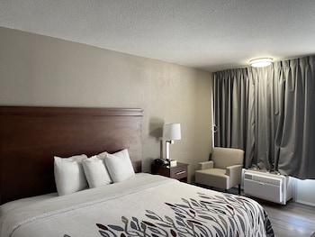 Deluxe Room, 1 King Bed, Non Smoking (Roll-In Shower)