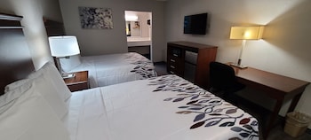 Deluxe Room, 2 Queen Beds, Non Smoking