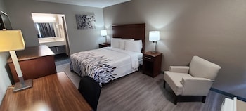 Superior Room, 1 King Bed, Non Smoking