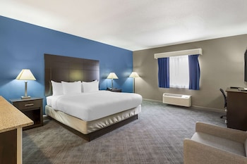 Suite, 1 King Bed with Sofa bed, Non Smoking