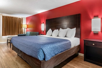 Room, 1 King Bed with Sofa bed, Non Smoking