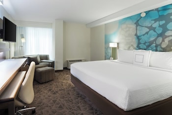 Room, 1 King Bed with Sofa bed