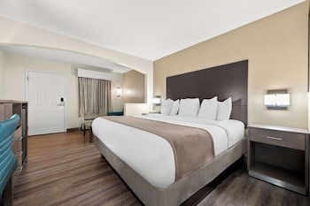 Standard Room, 1 King Bed, Non Smoking, Refrigerator & Microwave (with Single Sofabed)