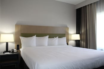 Traditional Room, 1 King Bed, Roll-in Shower, Non Smoking