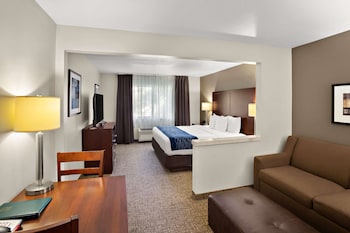 Suite, 1 King Bed with Sofa bed
