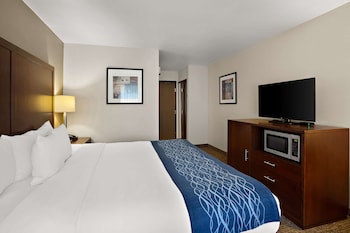 Standard Room, 1 King Bed, Non Smoking