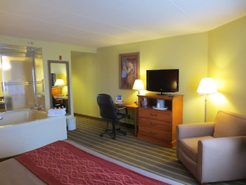 Suite Room with 1 King Bed - Non-Smoking