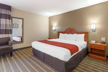 Room, 1 King Bed, Accessible, Non Smoking (Efficiency)