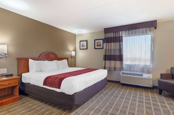 Suite Room with 1 King Bed - Non-Smoking