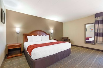 Efficiency Room with 1 King Bed - Non-Smoking