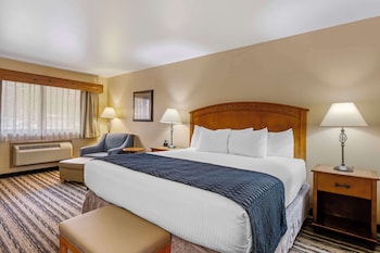 Standard Room, 1 King Bed, Non Smoking, Refrigerator & Microwave