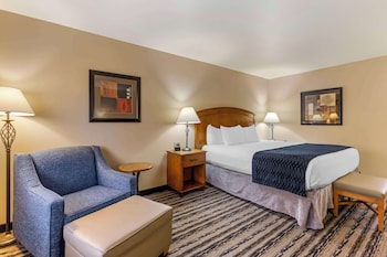 Standard Room, 1 King Bed, Non Smoking, Refrigerator & Microwave