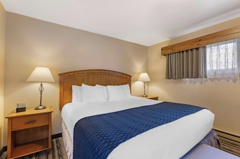 Suite, 1 King Bed, Non Smoking, Microwave (with Sofabed)