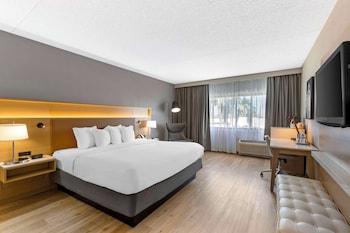 Room, 1 King Bed, Accessible, Non Smoking
