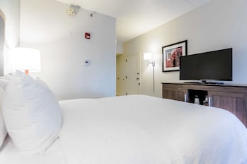 One Queen Bed, Non-Smoking, Accessible