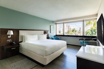 Room, 1 King Bed, Microwave, Garden View