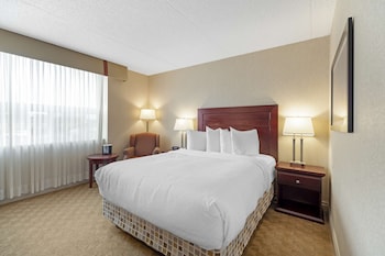 Standard Room, 1 Queen Bed, Non Smoking, Refrigerator