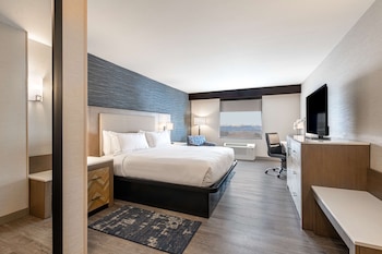 Room, 1 King Bed, Refrigerator