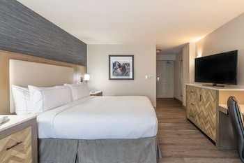 Room, 1 King Bed, Accessible (Mobility & Hearing, Roll-in Shower)