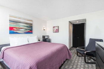 Suite, 1 King Bed, Non Smoking (One-Bedroom Suite)