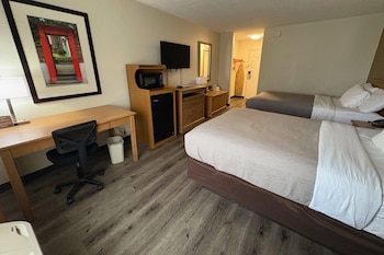 King bed with pullout sofabed