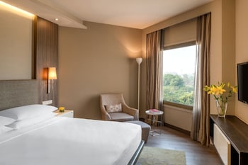 Suite, 1 King Bed (Regency)