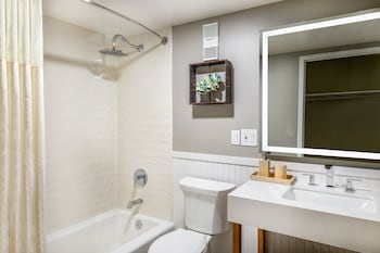 Room, 1 King Bed with Sofa bed, City View