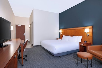 Room, 1 King Bed, Hearing Accessible (Roll-in Shower)