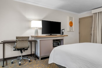 Suite, 1 Bedroom