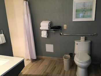 Standard Room, 1 Queen Bed, Roll-in Shower (Communications Accessible)