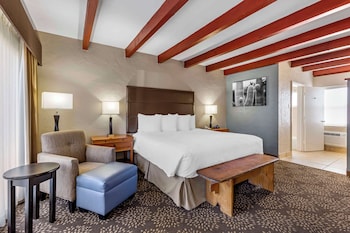 Standard Room, 1 King Bed, Non Smoking, Refrigerator & Microwave (Pet Friendly)
