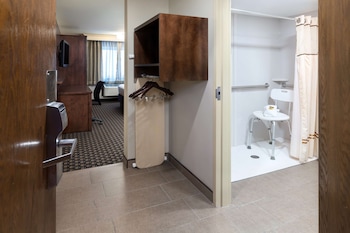 Standard Room, 1 King Bed, Accessible, Non Smoking