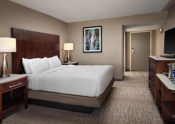 Executive Room, 1 King Bed, Bathtub