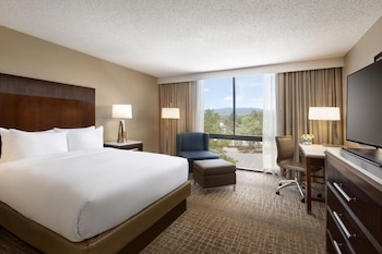Room, 1 Queen Bed, Bathtub