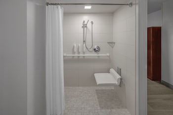 Room, 1 King Bed (Mobility/Hearing Access, Roll-in Shwr)