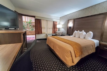 Room, 1 Queen Bed, Non Smoking